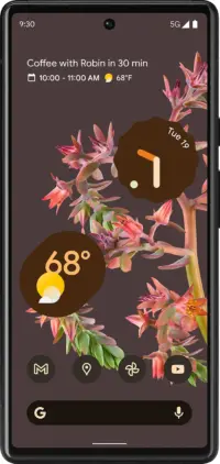 Google Pixel 6 Pro smartphone